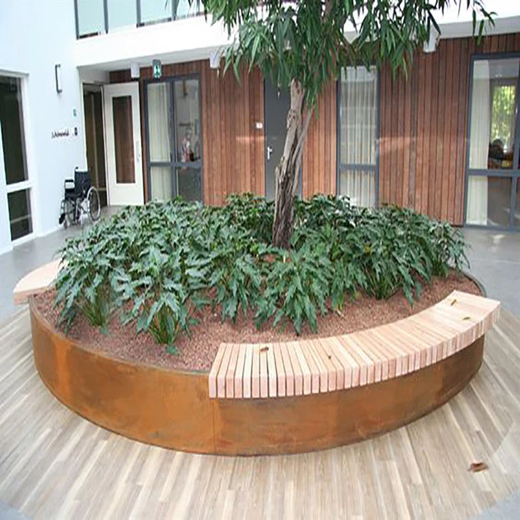 أفضل النباتات لحواف الحدود