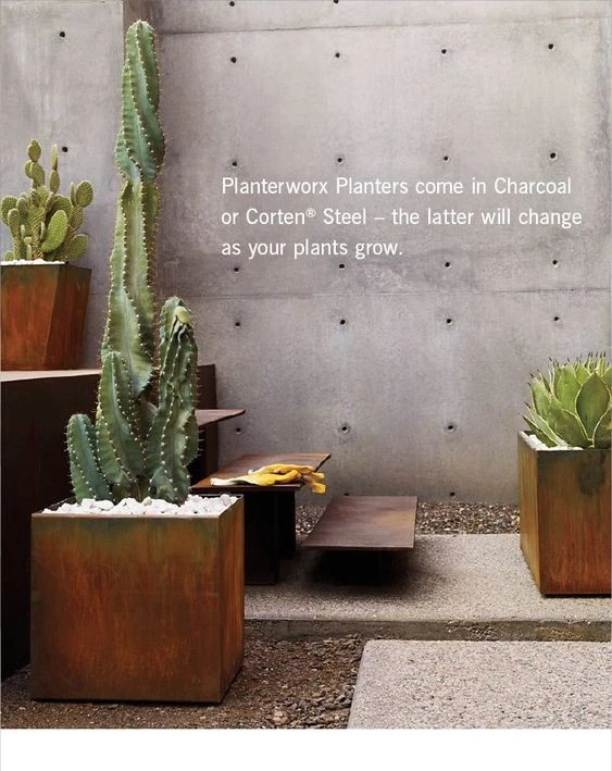 Corten Steel Tree Large Planters