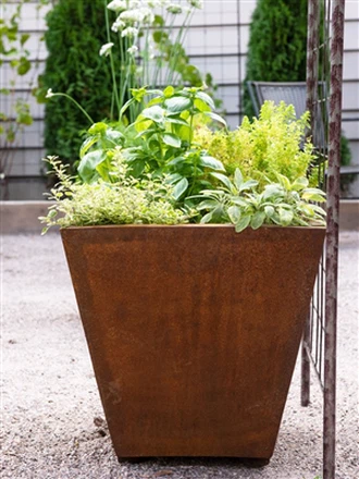 لماذا يعتبر Corten Steel مثاليًا لأصيص الزهور المستدير؟